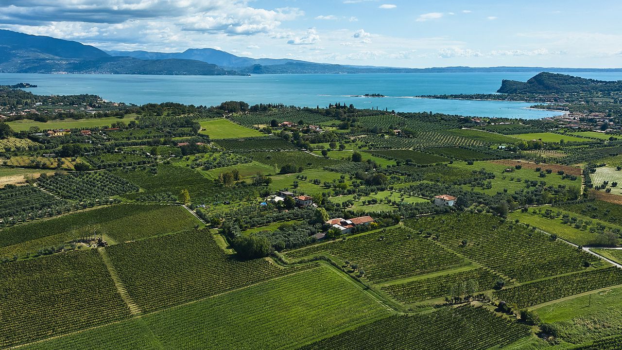 Weinbau In Der Lombardei Best Of Lombardia Vinum