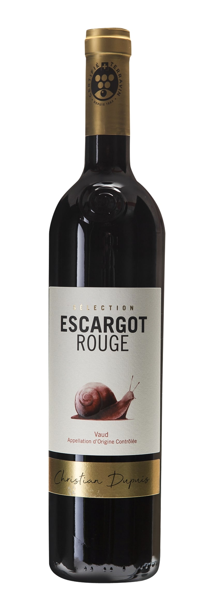 Escargot rouge Gamaret 2019