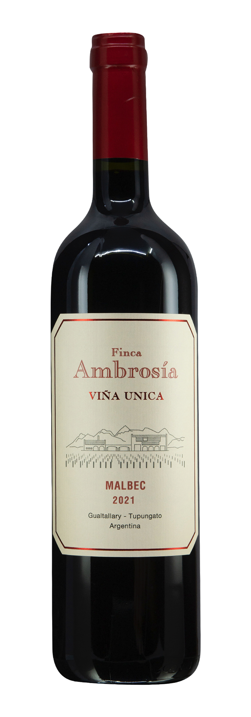 Mendoza Malbec Viña Unica 2021