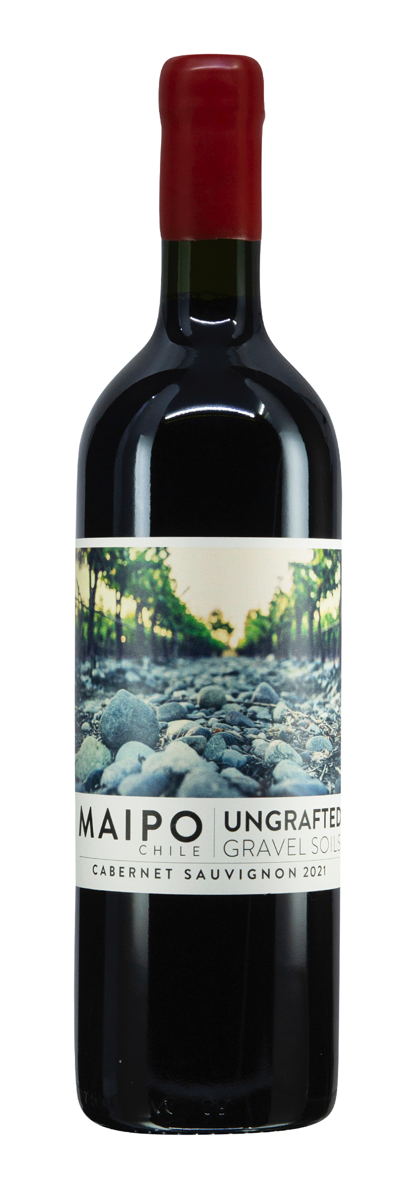 D.O. Maipo Valley Isla de Maipo Cabernet Sauvignon Ungrafted 2021