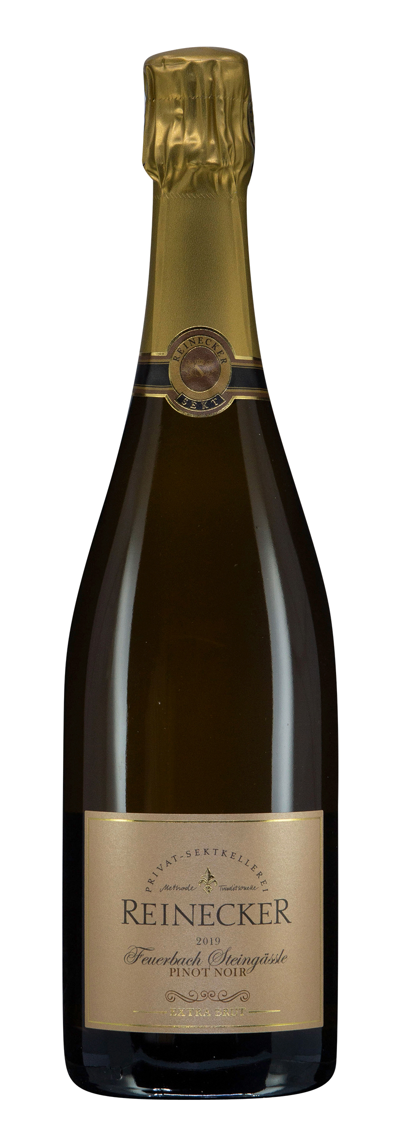 Feuerbacher Steingässle Pinot Noir Extra Brut 2019