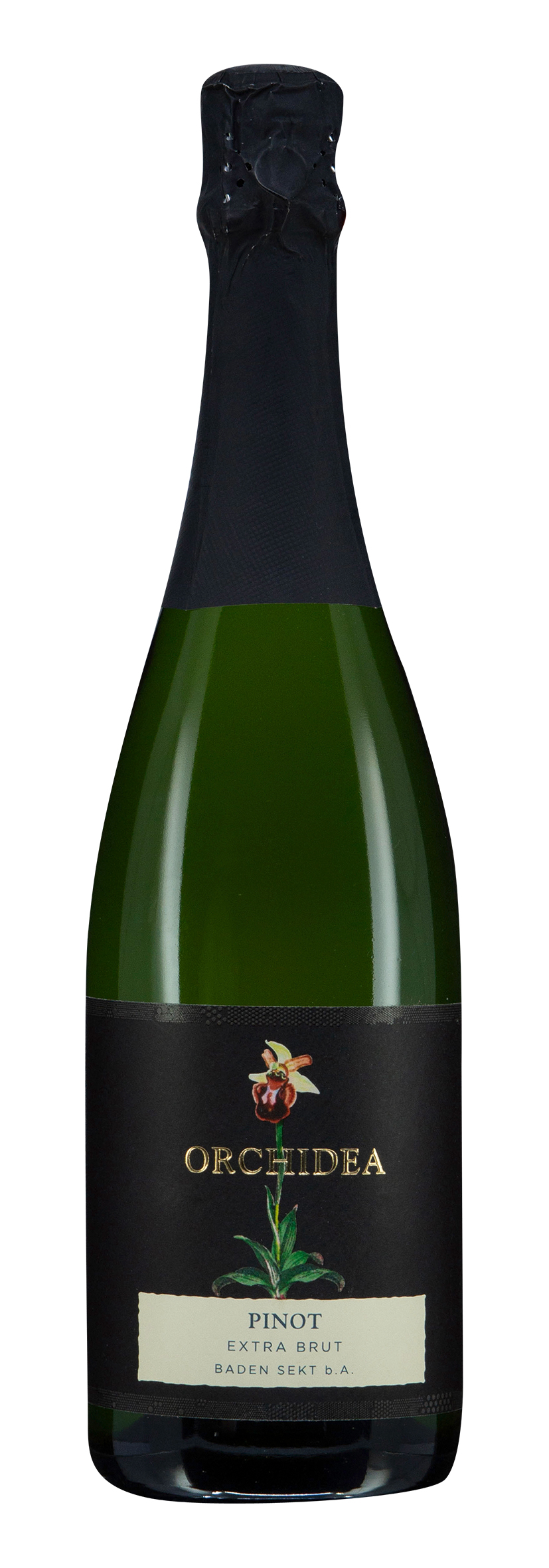 Sasbacher Pinot Sekt b. A. Extra Brut Edition Orchidea 2021