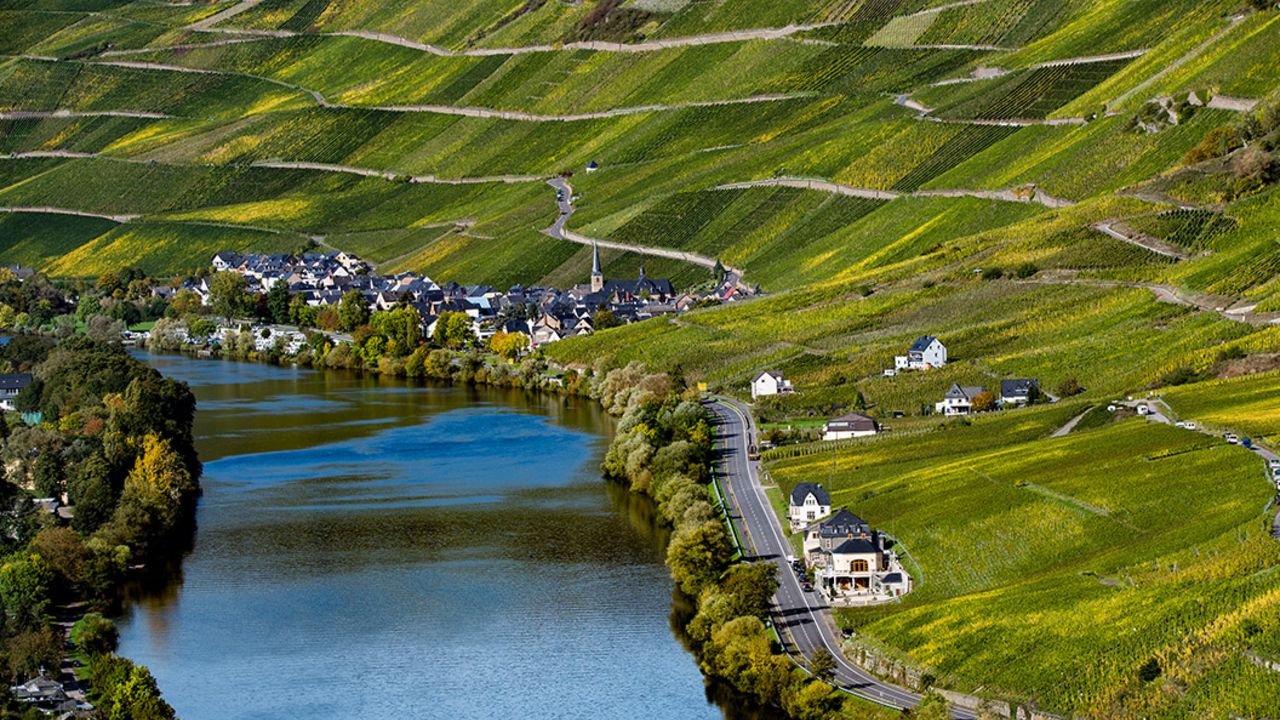 Die besten Winzer der Weinregion Mosel 2024  VINUM Weinguide 