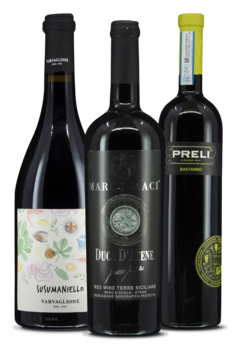 Best of Europe | | Wine 2023 VINUM Expovina Trophy