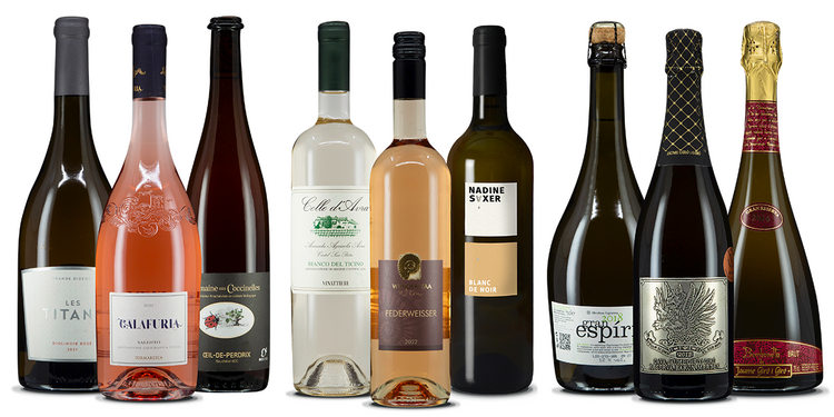 | Best Expovina VINUM | Trophy 2023 Wine of Europe