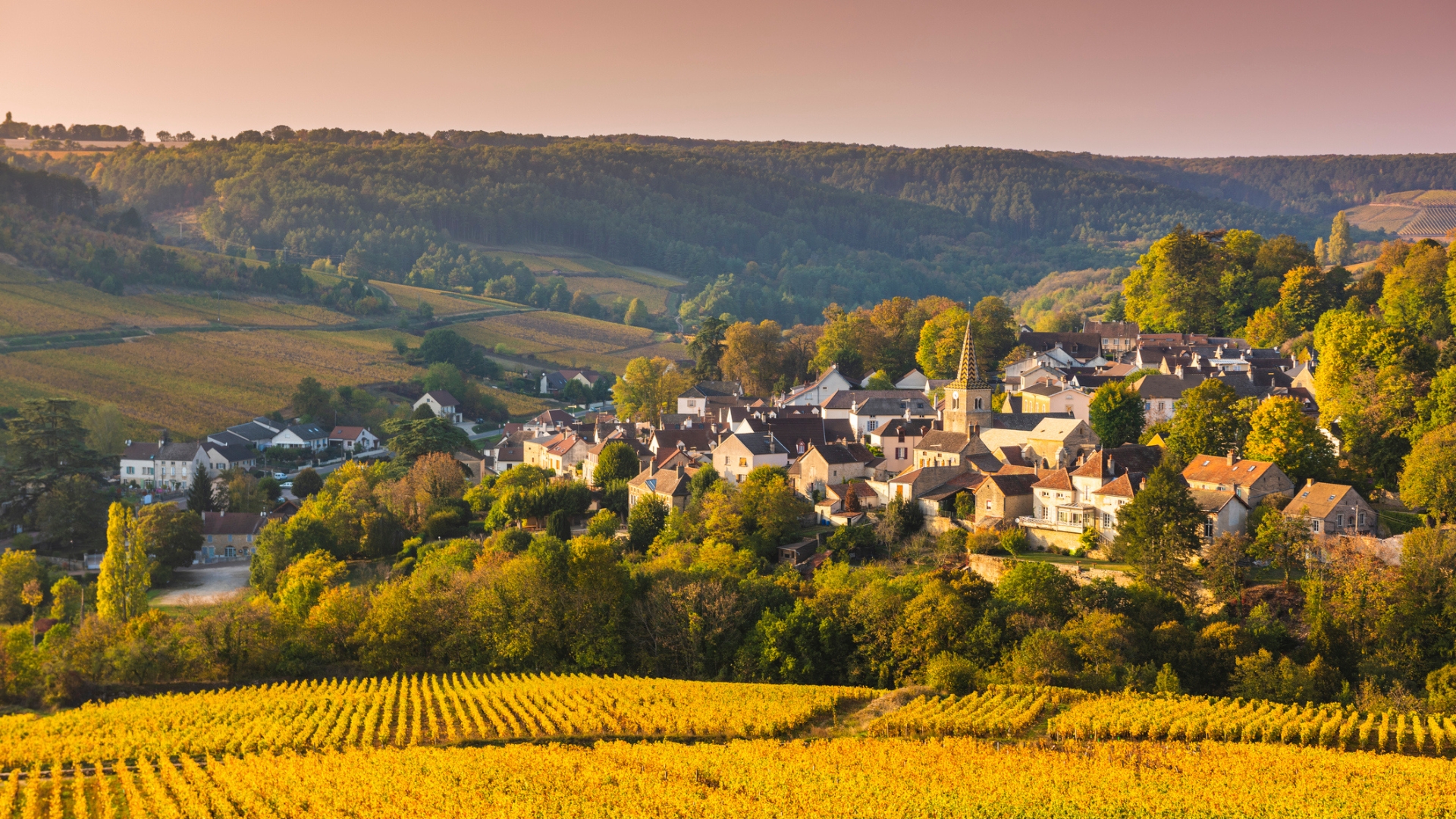 Le village de Pernand-Vergelesses, en Bourgogne, où le groupe LVMH possédait déjà des parcelles prestigieuses (photo: Getty)